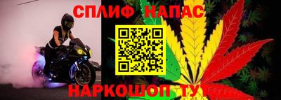 спиды Аргун