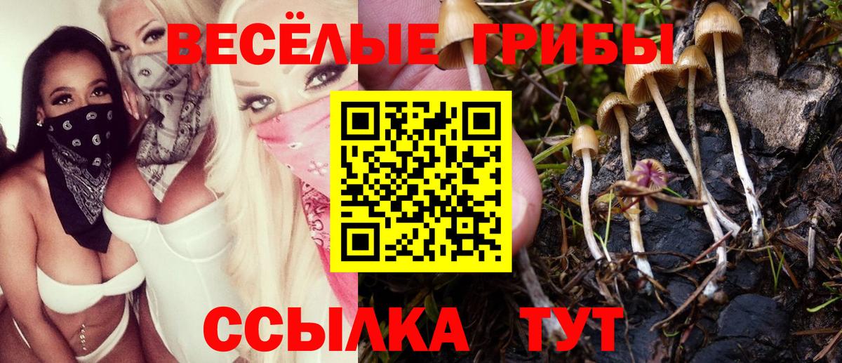 Псилоцибиновые грибы Psilocybine cubensis Воскресенск